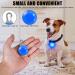 7-Piece LED Dog Light Pendants - Flashing Safety Collars for Dogs & Cats | Multi-Mode Luminous Pet Bands & Keychains for Kids & Joggers - Buy Online on GoSupps.com