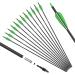 KESHES Archery Carbon Arrows for Compound & Recurve Bows - 30 inch Youth Kids and Adult Target Practice Bow Arrow - Removable Nock & Tips Points (12 Pack) Green