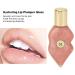 Moisturizing Lip Plumper Gloss - Metallic Nude Ginger Mint | Hydrating Lip Fuller Serum for Luscious Lips - Buy Online on GoSupps.com