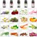 Premium 32-Piece Essential Oils Set for Aromatherapy, Diffuser, Massage, Skin Care - Eucalyptus, Lavender, Tea Tree, Peppermint, and More - Buy Online on GoSupps.com