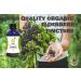 Organic Elderberry Tincture - Natural Herbal Remedy 100ml - Buy Online on GoSupps.com