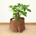 Ardorman Coconut Matte Reptile Carpet | Cuttable Coconut Palm Mat for Indoor & Outdoor Use - 20x0.4cm Natural Coconut Fiber - Buy Online on GoSupps.com