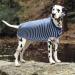 Recreational & Surgical Recovery Suit for Dogs & Cats - Postoperative Protection Prevent Licking 3XL Size - Buy Online on GoSupps.com