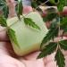 NEEM solid conditioner / 100% Natural // Made in Canada - Muslim Cosmetics - Neem Conditioner - Buy Online on GoSupps.com