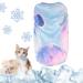 Winmany Cooling vest for dogs summer T-shirt sleeveless tank top pet quick drying sun protection clothing outfit for small medium-sized and large dogs (small colorful) small colorful