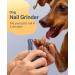 oneisall Dog Clippers Grooming Kit 4 in 1 Quite Cordless Dog Paw Trimmer & Nail Grinders & Small Dog Trimmer for Grooming Pet Clippers Shaver Trimmer for Small Dogs (Blue) - Buy Online on GoSupps.com
