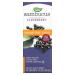 Nature's Way Sambucus Standardized Elderberry Sugar-Free Syrup 4 fl oz (120 ml)