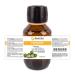 GreatVita 100% Pure Cold-Pressed Castor Oil - 100 ml | Premium Quality & Native Ph. Eur - Shop Internationally - Buy Online on GoSupps.com