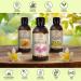 Burdock Oil 250ml - Arctium Lappa Root Extract - 100% Pure & Natural - Natural Hair Oil - Great Benefits for Skin - Hair - Face - Body Care - Glass Bottle - Oils Burdock Seed - Buy Online on GoSupps.com