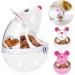 Legendog Small Cat Slow Feeder Food Ball - Interactive Cat Toy for Treat Dispensing - White - Buy Online on GoSupps.com