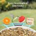 Netvue Multifunction Bird House Stand & Feeder | Versatile Bird Feeding Station for Wild Birds - Ideal for Potions Fruits & Vegetables - Buy Online on GoSupps.com