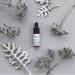 Brighton Beard Company Beard Oil (Sandalwood Elemi & Lavender 30ml) - Buy Online on GoSupps.com