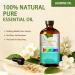 Jasmine Essential Oil 4 Fl Oz and Blueberry Essential Oil 4 Fl Oz - ZODION Jasmine & Blueberry Oil for Diffuser Aromatherapy Home Fragrance Skin & Hair Care DIY Candle & Soap Making Yoga - Buy Online on GoSupps.com