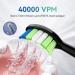 JTF Replacement Electric Toothbrush Heads - 3 Medium Medium-Soft Bristle Brushes for P200 - International Shipping - Buy Online on GoSupps.com