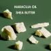 Shea Moisture Maracuja Oil & Shea Butter Beard Wash and Detangler Set - 6 oz Wash, 4 oz Detangler - Deep Clean, Refresh, Soften, and Ease Knots - Buy Online on GoSupps.com