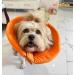 All-Sopets Cat Protective Collar - Lightweight Recovery Cone for Cats & Puppies | Soft After Surgery Collar in Orange - Buy Online on GoSupps.com