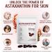 Astaxanthin 12mg 120 Softgels 4 Month Supply Premium Astaxanthin Antioxidant Supplements with Antioxidant Activity Supports Eye Immune Joint Skin Health Internal Circulation 1 Pack - Buy Online on GoSupps.com