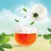 Organic Soursop Graviola Leaves Tea - Pack of 30 Bags | NalLife - Buy Online on GoSupps.com