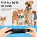 HVS Anti Barking Dog Collar - Beep Sound & Vibration Training Device for All Breeds - Buy Online on GoSupps.com