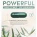 Super Strength Olive Leaf Extract 750mg - 20% Oleuropein - 60 Vegetarian Capsules - Antioxidant Support Supplement - Buy Online on GoSupps.com