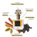 High Class Perfumes for Women & Men Luxury Unisex Extrait de Parfum Inspired by A.ngels K.ilian | Long-Lasting Fragrance with Sandalwood Vanilla & Praline | 3.4oz (100ml) 3.4 Fl Oz (Pack of 1) - Buy Online on GoSupps.com