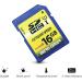 16GB Class 10 SDHC Flash Memory Card Standard Full Size SD Card USH-I U1 Trail Camera Memory Card by Micro Center (2 Pack) 16GB x 2 - Buy Online on GoSupps.com
