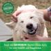 GREENIES Original Large Dog Dental Treats | Natural & Effective Dental Care for 50-100 lb Dogs - Buy Online on GoSupps.com