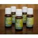 RATHAUS APOTHEKE WIEN Concentrated bud extract - Gemmotherapy - Sambucus nigra - Elderberry - 15 ml - Buy Online on GoSupps.com