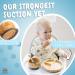 Bubba Bear Baby Bamboo Suction Bowl Plate & Spoon Set | Stay Put Toddler Led Feeding Bowls & Plates | Guide to Weaning eBook Blue - Buy Online on GoSupps.com