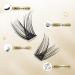 Cluster Lashes QueWel 72 PCS - DIY Eyelash Extensions Soft Individual D Curl 8-16mm Length for Home Makeup - Buy Online on GoSupps.com
