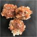 Natural Rare Orange Aragonite Quartz Crystal Cluster Shape Rough Stone Nepheline Specimen Home Decor Room Decoration Stone Mineral Specimen (Color : 30-40mm Size : 1pc) 1pc 30-40mm - Buy Online on GoSupps.com