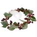 Lurrose Red Floral Crown Headband - Artificial Berry Wreath for Weddings Festivals & Parties - Buy Online on GoSupps.com