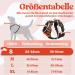 Rabbitgoo Dog Harness for Small Dogs - Adjustable No-Choke Softly Padded Reflective with Handle - Anti-Train Design - 1 Pack Orange - Buy Online on GoSupps.com