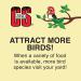 C&S Suet Treats 12 Pack Woodpecker - Premium Wild Bird Feeding Solution - Buy Online on GoSupps.com