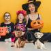Pet Halloween Costumes Dog Costume Cloak Cat Cape Witch Hat Set with Bell Pet Wizard Clothing Outfits Halloween Party Cosplay for Small Medium Puppy Dogs Kitten Cats Decoration (Wizard) - Buy Online on GoSupps.com