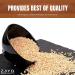 Zayd Organics USDA Organic Urad Dal Split Matpe Beans 1.75lbs (800g) - Buy Online on GoSupps.com