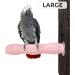 PARROT ESSENTIALS Textured Calcium Parrot Perch Sandpaper Perch Edible Calcium for Birds like Budgie Cockatiel African Grey Parrot and Budgie Mineral Block - 20 x 2.5 x 2.5 centimetres (Large) L (Pack of 1) - Buy Online on GoSupps.com