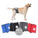 Sailing trousers for bitches 2.0 - dog diapers made of high -quality perforated neoprene for an optimal air exchange - dog diapers for male without the annoying threading of the rod (XS -L gray)