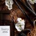 Finery Sweet On the Outside Fragrance Perfume - 2.02 fl oz - Buy Online on GoSupps.com