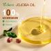 1 Gallon Jojoba Oil EWG Verified - 100% Pure Jojoba Oils Bulk Cold Pressed Unrefined Hexane Free Virgin Golden jojoba Carrier Oil for Hair Skin Massage DIY Natural Body Moisturizer 128 Fl Oz (Pack of 1) - Buy Online on GoSupps.com