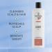 Nioxin System 4 Scalp Cleansing Shampoo with Peppermint Oil - Dandruff Relief for Color Treated Hair | Dry Scalp Treatment - 16.9 fl oz - Buy Online on GoSupps.com