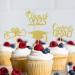 Graduation Cupcake Toppers 24 Pack 2023 Graduation Cupcake Toppers Class of 2023 Graduation Cupcake Toppers Diploma Grad Caps Cake Toppers Picks for Graduation Joberio Gold - Buy Online on GoSupps.com