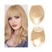 Clip in Fringe Synthetic Hair Frange Bangs Clip In Hair Extensions Natural False Hair Blunt Bangs for Women Daily Use Hair Accessories Bangs Hair Clip(18-613) 10inches 18-613