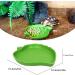 Reptile Leaf Food Water Bowl Green Tortoise Water Dish Food Feeding Plate Turtle Terrarium Accessories Outside for Lizards Hamsters Snakes Pet Aquarium Ornament (Large) - Buy Online on GoSupps.com