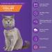 4 Pcs Lavender Scent Calming Cat Collar Set | Adjustable & Relaxing for Cats and Puppies | Reduce Stress & Anxiety | Up to 15 Inches | Purple & Gold - Buy Online on GoSupps.com