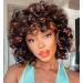 Porsmeer afro wig women black brown wig synthetic curly curly wig with pony natural hair for women men short bob wigs for halloween cosplay film costume wig black with brown highlights