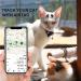 Adjustable Airtag Cat Collar with Bell | Silicone Cover & Breakaway Safety Buckle for Cats & Kittens - Compatible with Apple Airtag - Buy Online on GoSupps.com