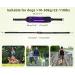 Shop Pecute Jogging Line for Dogs - Belly Belt & Elastic Leash for Large/Medium Dogs Up to 100kg - Ideal for Running & Jogging - Buy Online on GoSupps.com