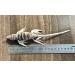 Purrs Lizard attachment- Fits PurrSuit Frenzy & DaBird wand Cat Toys - Buy Online on GoSupps.com