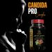 Candida PRO - Black Walnut Wormwood probiotics Digestive Health Supports Detoxification for Natural Candida Cleanse - 1 Bottle - Buy Online on GoSupps.com